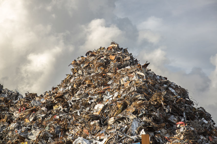 Every Day You Open the Door to the Trash Heap