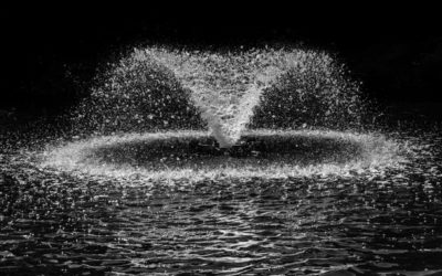A Never-ending Fountain of Ideas